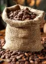 cacao orgánico en grano 1 kg