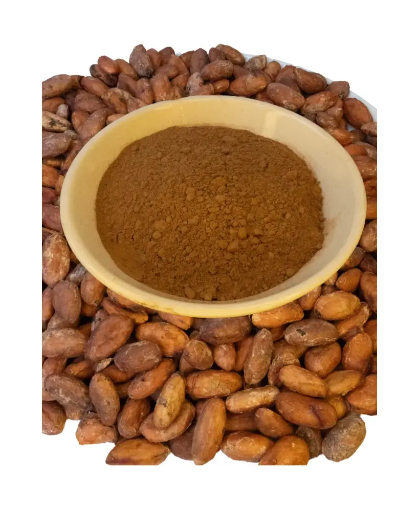 cacao en polvo orgánico 1 kg granel